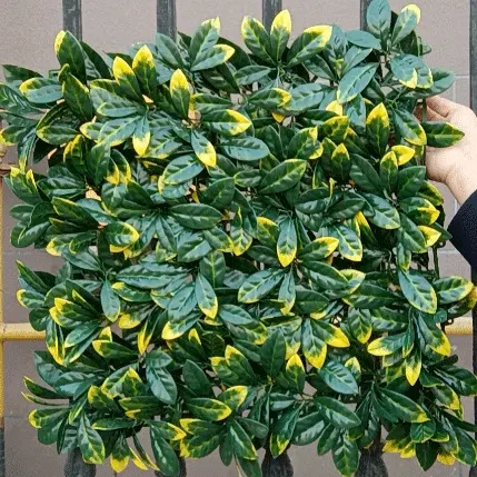 Massive Selection for Artificial Green Fence - Artificial Hedge Plant, Greenery Panels Suitable For Both Outdoor Or Indoor Use, Garden, Backyard Andor Home Decorations – Deyuan detail pictures