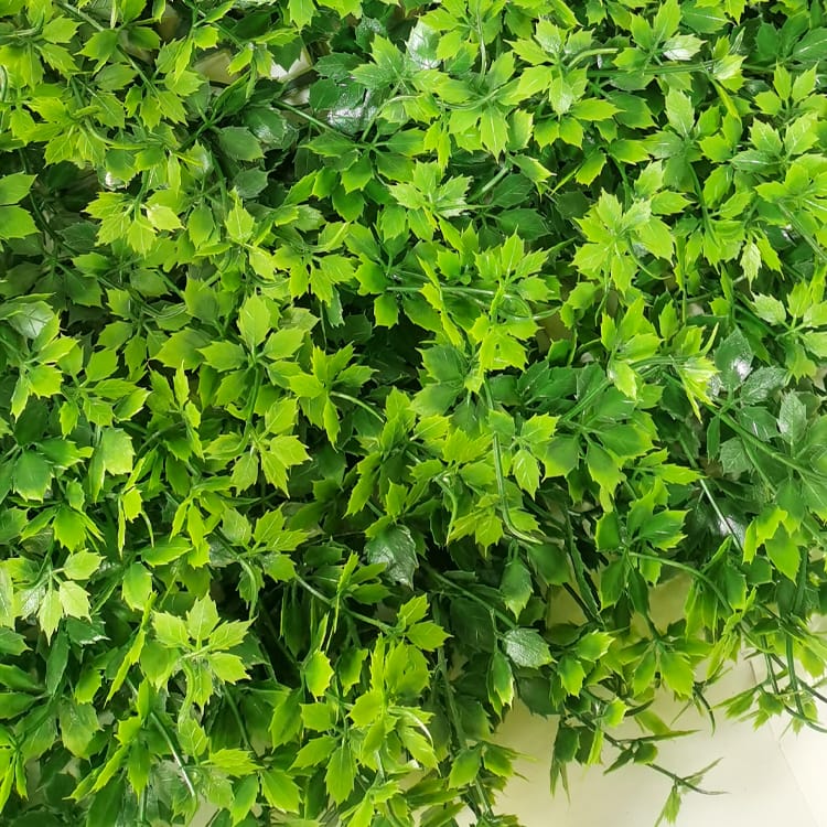 Artificial Grass Around Pool - Artificial Greenery Boxwood, Privacy Fence Screen Faux Plant, UV Resistant Topiary Hedge – Deyuan
